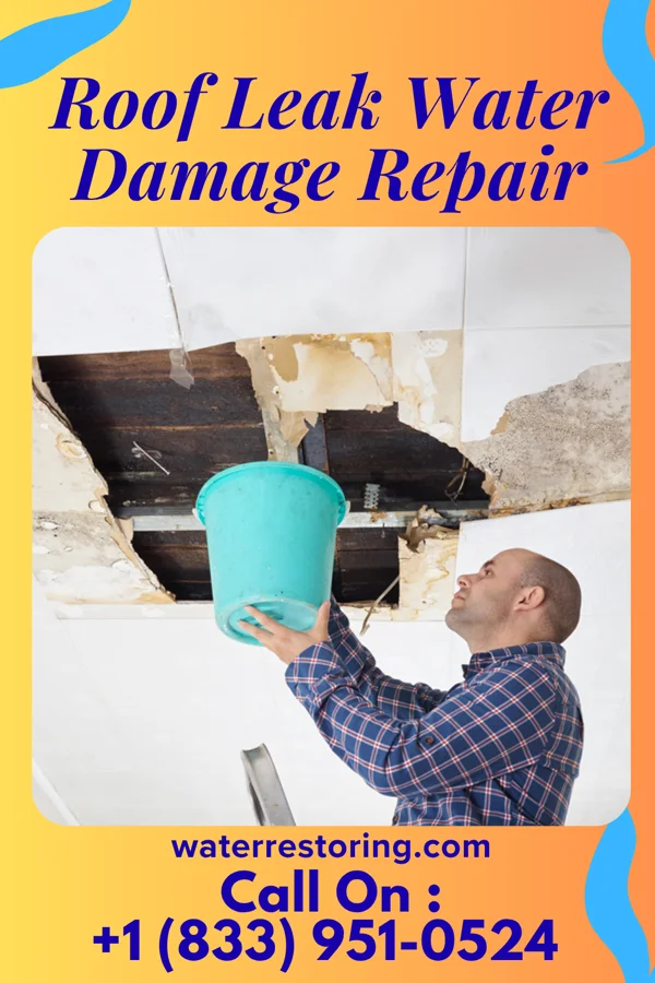 Roof Leak Water Damage Repair in East Salem, PA