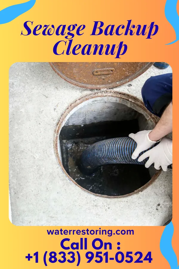 Sewage Backup Cleanup in East Salem, PA